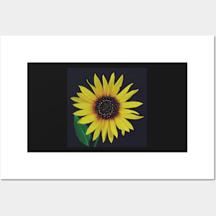 Yellow flower Posters and Art